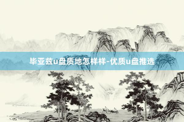 毕亚兹u盘质地怎样样-优质u盘推选